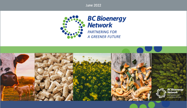 Read the June BCBN #Newsletter 📰 here conta.cc/3x8etkl 🤓👌