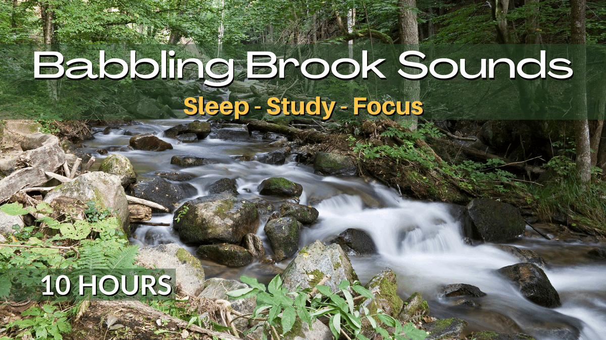 RT <a href="/SMDirectLive/">Social Media Direct</a>: Babbling Brook Natural White Noise for Deep Sleep Work Studying &amp; Focus youtu.be/JzVfguxnNTI via <a href="/YouTube/">YouTube</a> 

#relaxingsounds #relaxing #backgroundmusic #relaxingmusic