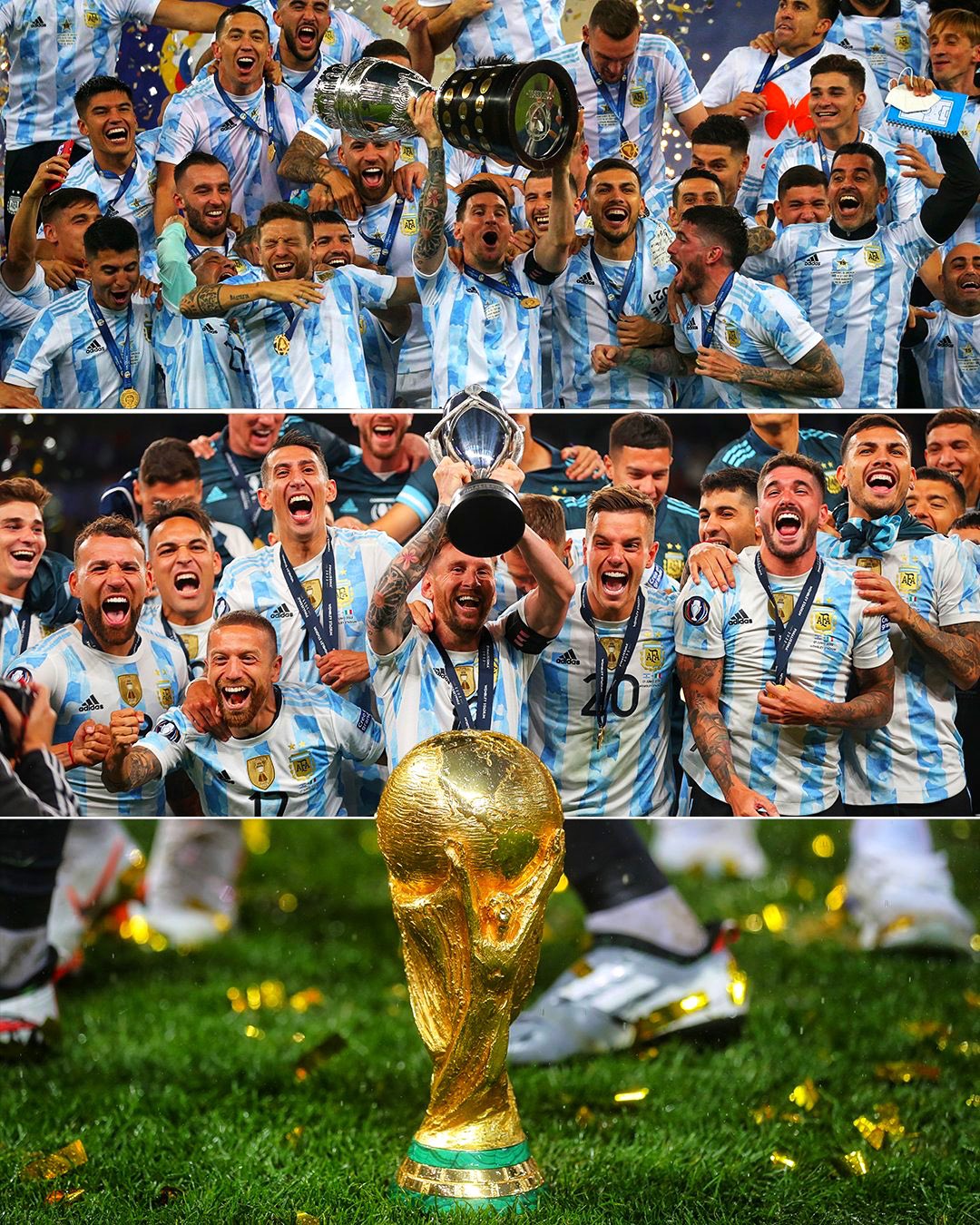 argentina football team 2022 world cup wallpaper