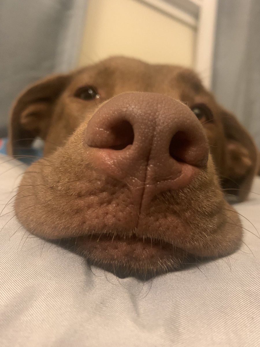 SCFRDPIO's tweet image. That cool AC on a 90+ degree hot day feeling