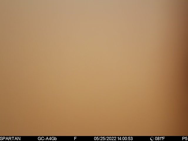 topwater21's tweet photo. Y’all check this out. @spartancamera is one tough camera. It took a picture underwater! Water receded a foot and it got a pic of a duck. Wow, I’m impressed! https://t.co/SNHZqzop6v