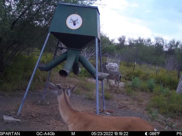 topwater21's tweet photo. Y’all check this out. @spartancamera is one tough camera. It took a picture underwater! Water receded a foot and it got a pic of a duck. Wow, I’m impressed! https://t.co/SNHZqzop6v