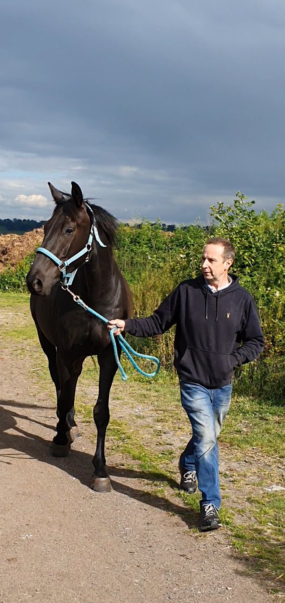 hellohenners's tweet photo. So this boy is now a grown up... at the livery yard with my ridden horse, Henry... Nero, its time to earn your keep 😂 #Morricone #Nerricone #Gribaldi https://t.co/yRw2fsIDa0