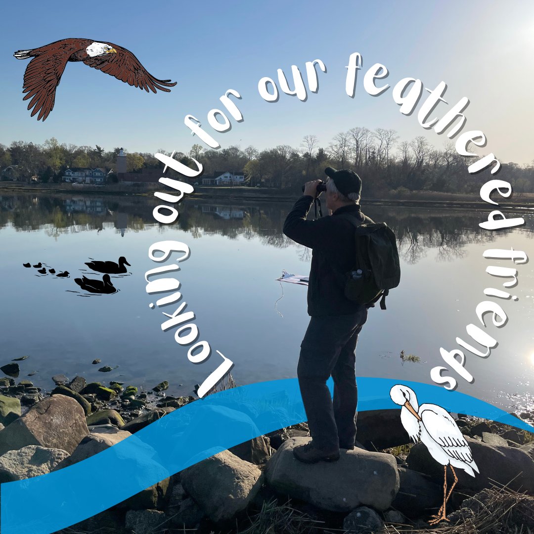 Tod Winston from NYC Audubon (<a href="/nycaudubon/">NYC Audubon (now NYC Bird Alliance)</a>) is looking for birds to establish a pre-project baseline at our living shorelines site in Queens. What birds are you excited to see come back to this area?
#livingshoreline #birding #birdsurveys #audubonsociety #birds
