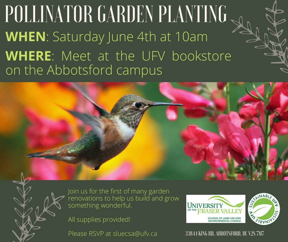 Volunteer opportunity for students!