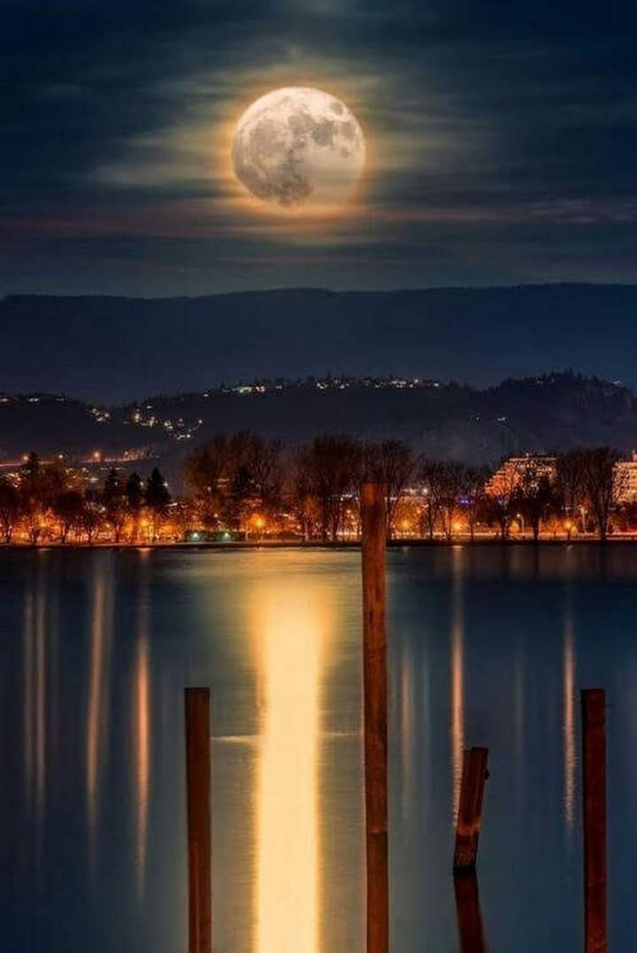 TLeoni311's tweet photo. Peaceful night for all 🌙 https://t.co/Ks8O1h3F4o