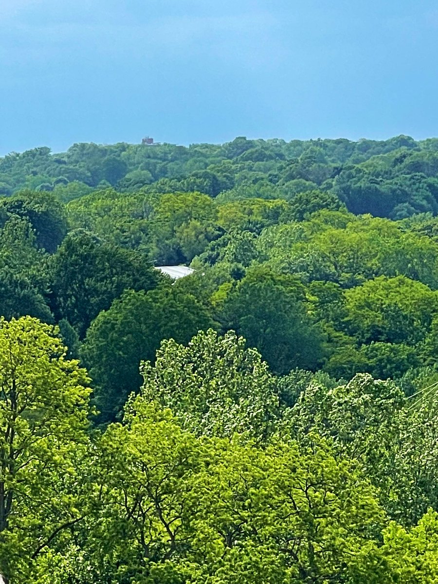 Carrie Rubin tweet media