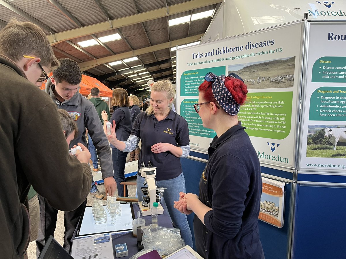 Fab day @NSA_Scotland ScotSheep in Angus! Lots of interest @MoredunComms stand and seminar series! #testdontguess 🐑 🪱 💩 @SEFARIscot