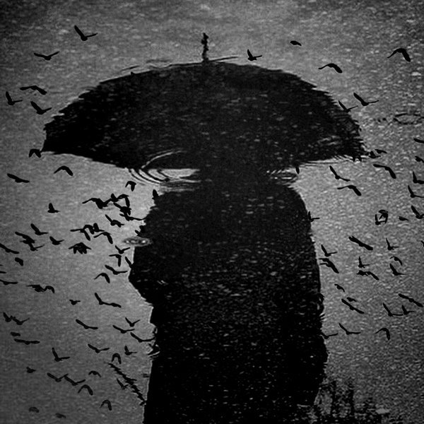 For you
Neslihan Öncel