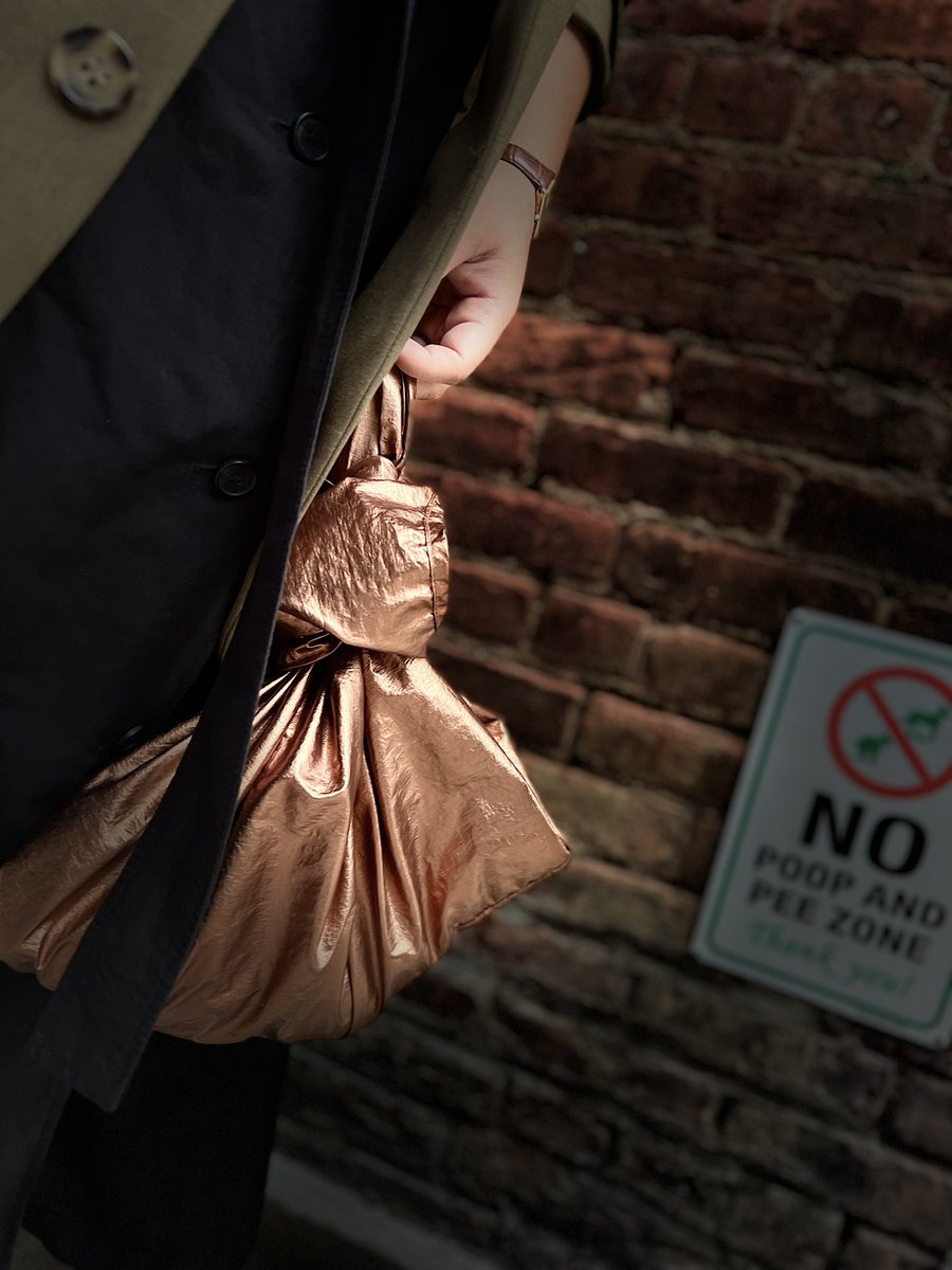 BAGGUのメタリックな鞄かわいい〜。
くるって上縛って丸めてるけど、本当はスーパーの袋の形。

エコバッグいっぱい買ったらもはやエコじゃないよね…😂