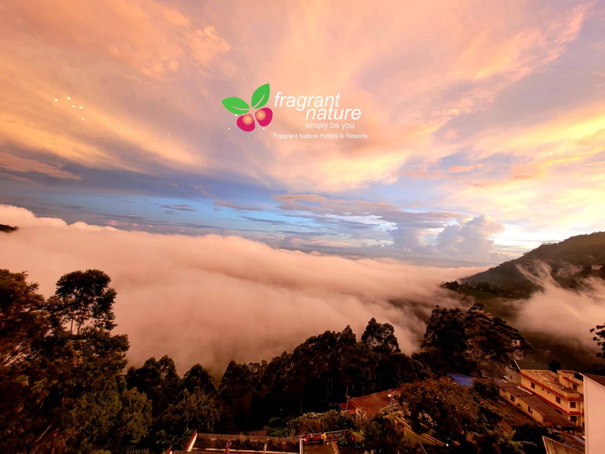 fragrantresort's tweet photo. The sky splashed with vibrant colors. @fragrantresort #FragrantNatureMunnar✨️

DM FOR ENQUIRIES : -👇

Contact Us 📞 :  0484 415 6789
Whatsapp No : +91 9633616005

#resorts #resortsindia #resortphotography #fragrantnature #munnar https://t.co/god7nmKSsq