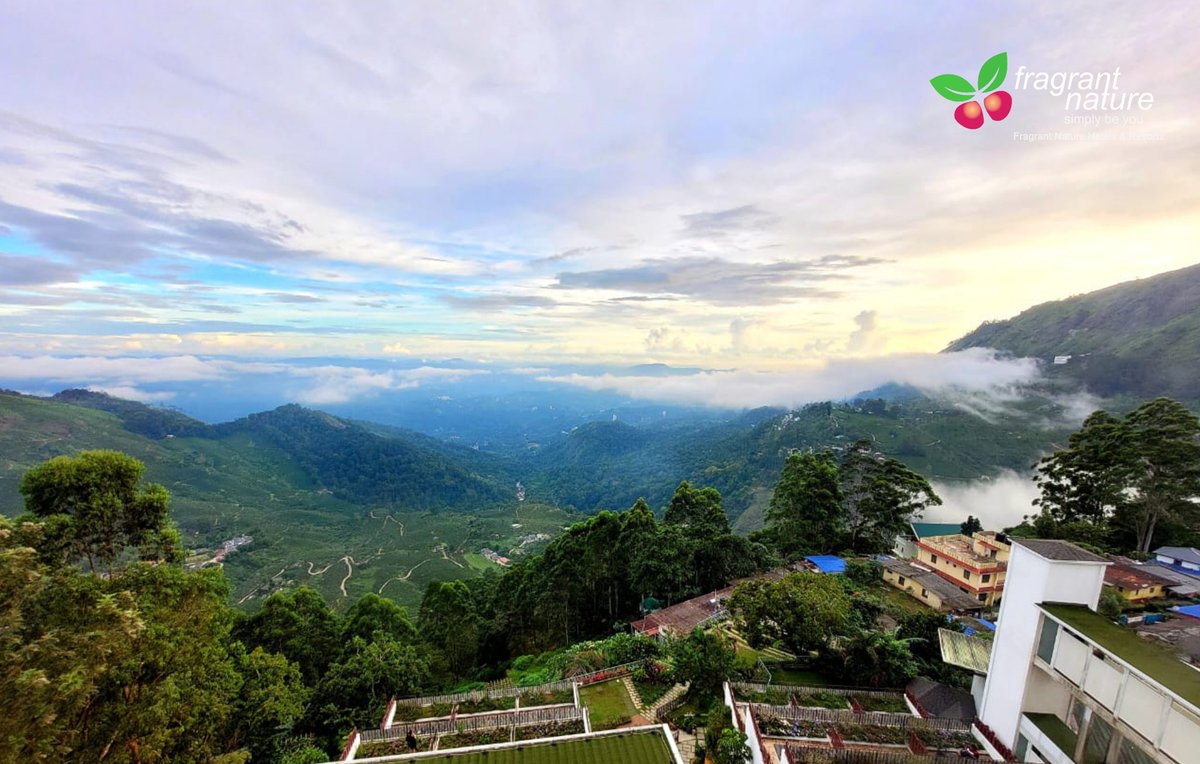 fragrantresort's tweet photo. Come and stay with us in the mountains. It will feel like you are in the heavens!l
@fragrantresort #FragrantNatureMunnar✨️

DM FOR ENQUIRIES : -👇

Contact Us 📞 :  0484 415 6789
Whatsapp No : +91 9633616005

#resorts #resortsindia #resortphotography #fragrantnature #munnar https://t.co/8ForbzW9WQ