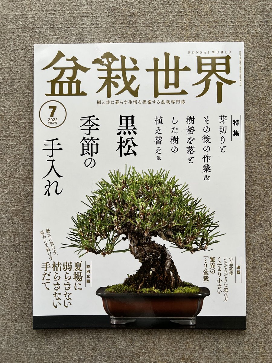 【盆栽世界7月号予告】
樹と共に暮らす生活を提案する盆栽専門誌『盆栽世界』最新号は6/4発売!
今回の #水やる は盆栽コミュニティ。愛好家人口が減る一方新しい動きも確かにあって、過渡期だと感じます。
本誌メイン特集は黒松の手入れだけど…ミリ盆栽ってまさか!?。 #盆栽 #bonsai #水やる 
