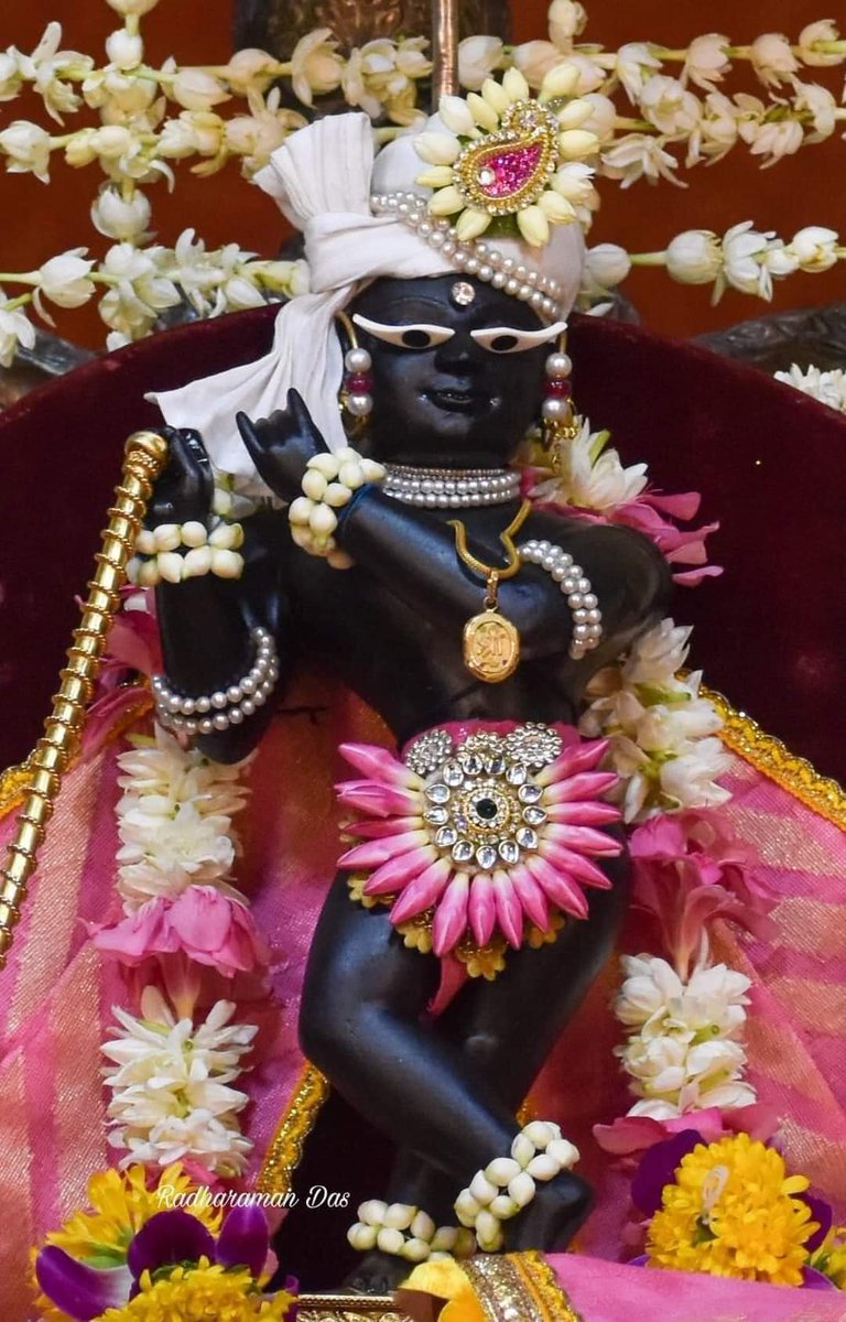 THEMACTHLESSGI1's tweet photo. Mero pran dhan sri sri radha raman lal ju
#radharaman #vrindavan #iskcon https://t.co/bH6N1NvGm0