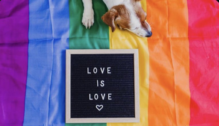 BeAcevedoTachna's tweet photo. Retweet si tu cuenta es un lugar seguro libre de odio. #HappyPrideMonth https://t.co/Vz69yDrWha