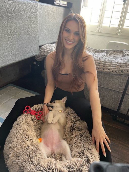 I just got a Siberian Husky puppy!!! Say hello to Juniper 😇 Any tips and tricks for raising a husky are<a href="/tag/puppy"class="tags"><span>#puppy</span></a><a href="/tag/husky"class="tags"><span>#husky</span></a><a href="/tag/girldog"class="tags"><span>#girldog</span></a>