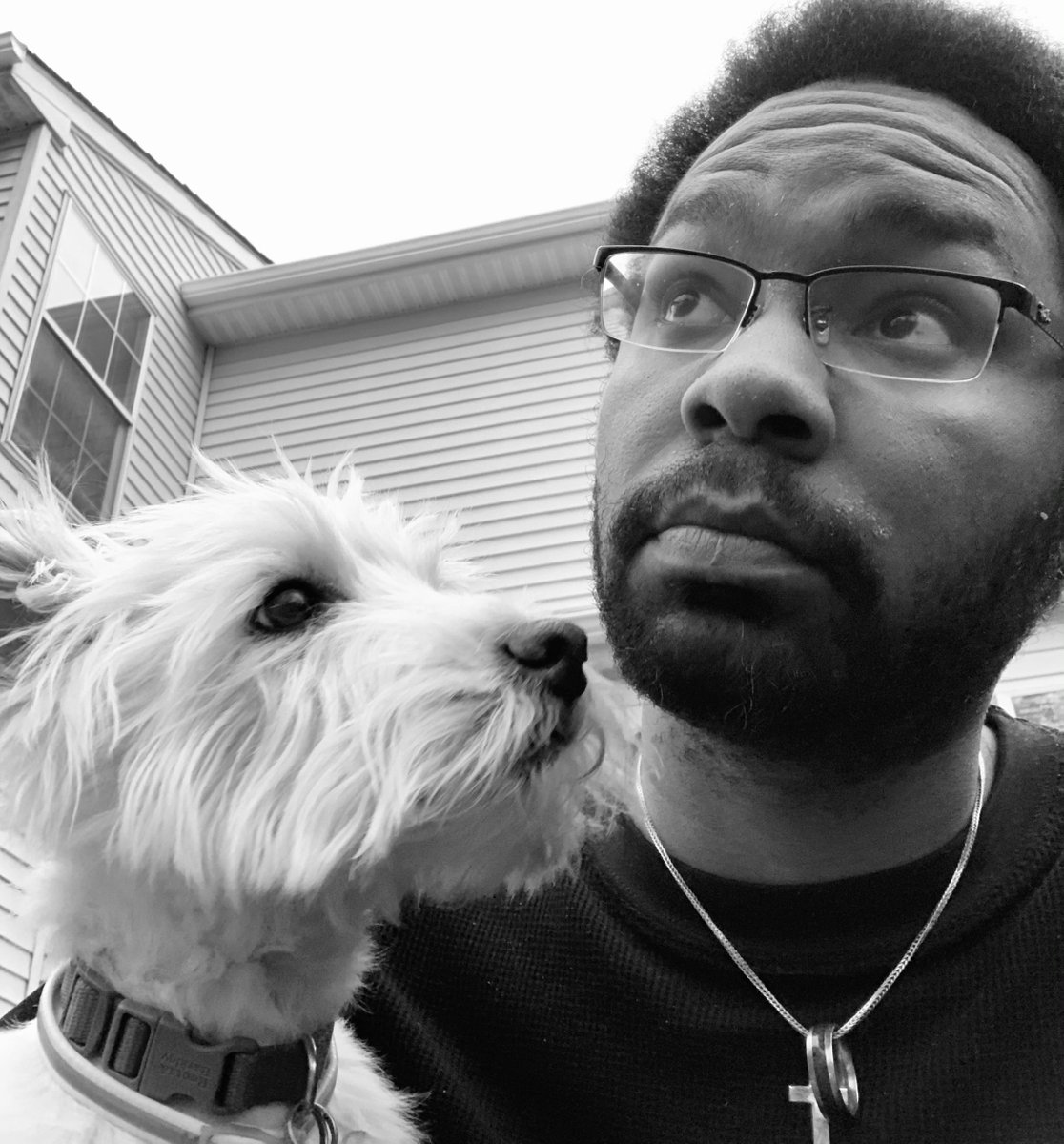 SonLogan202's tweet photo. Rest In Peace Zoë. 15 years of the best Westie memories I’ll have. Got me through so much of my health troubles from start to finish, and never left my side. I’ll never forget you and love you 🐾 #loganslore https://t.co/LNrdXMBWbH