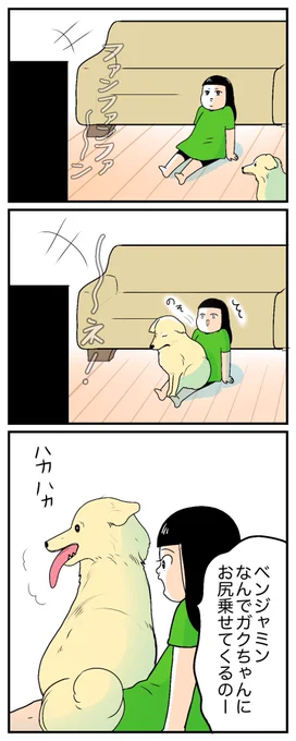 犬からのサイン🐶💚
https://t.co/SU9Vu17we5 