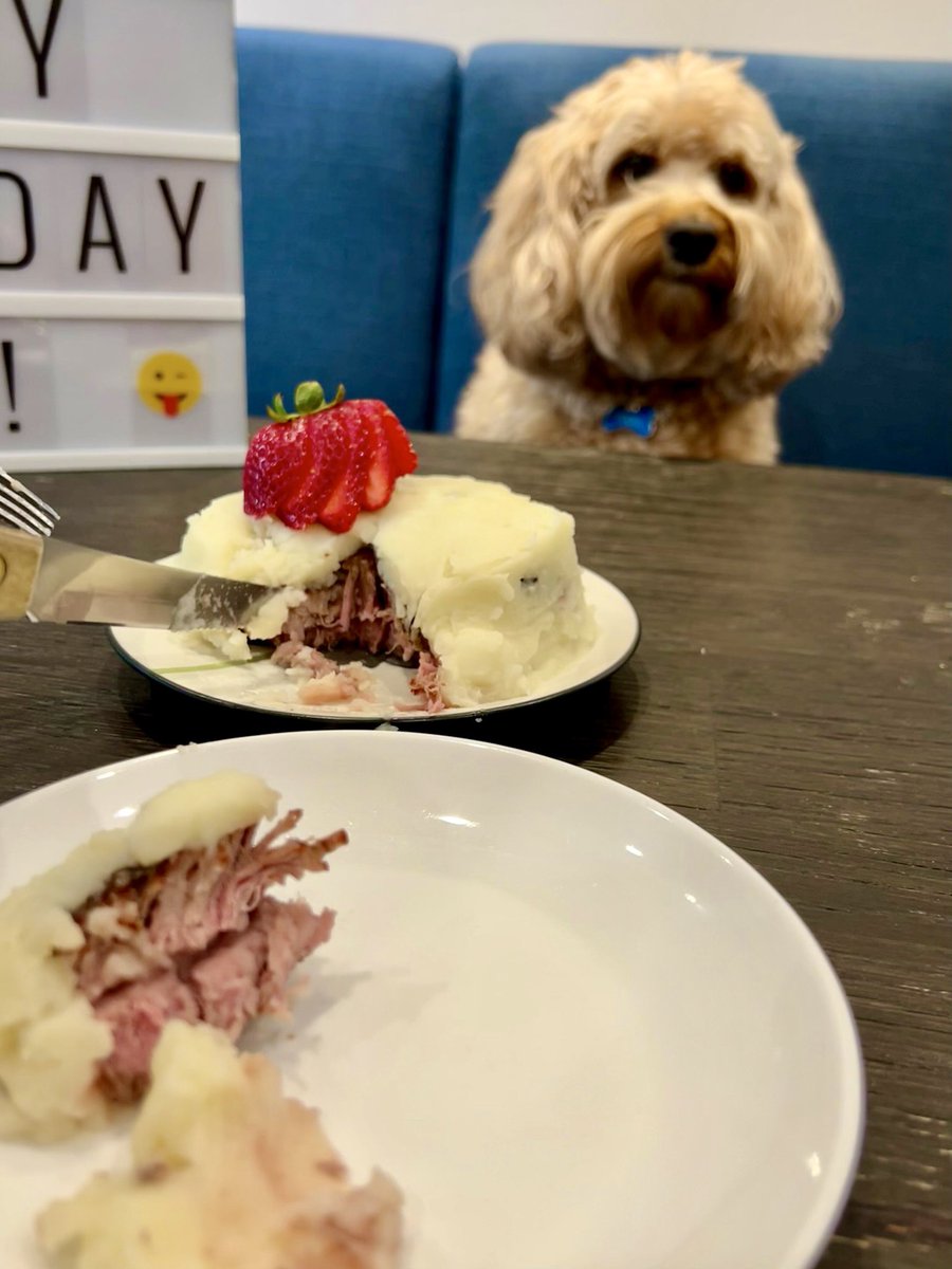 HelloPixelPup's tweet image. Medium rare filet mignon cake with mashed potato frosting by chef @wayneppp 🎂😋

#happybirthdaytome #9yrsold #nomnomnom #steakdinner #hellopixelpup