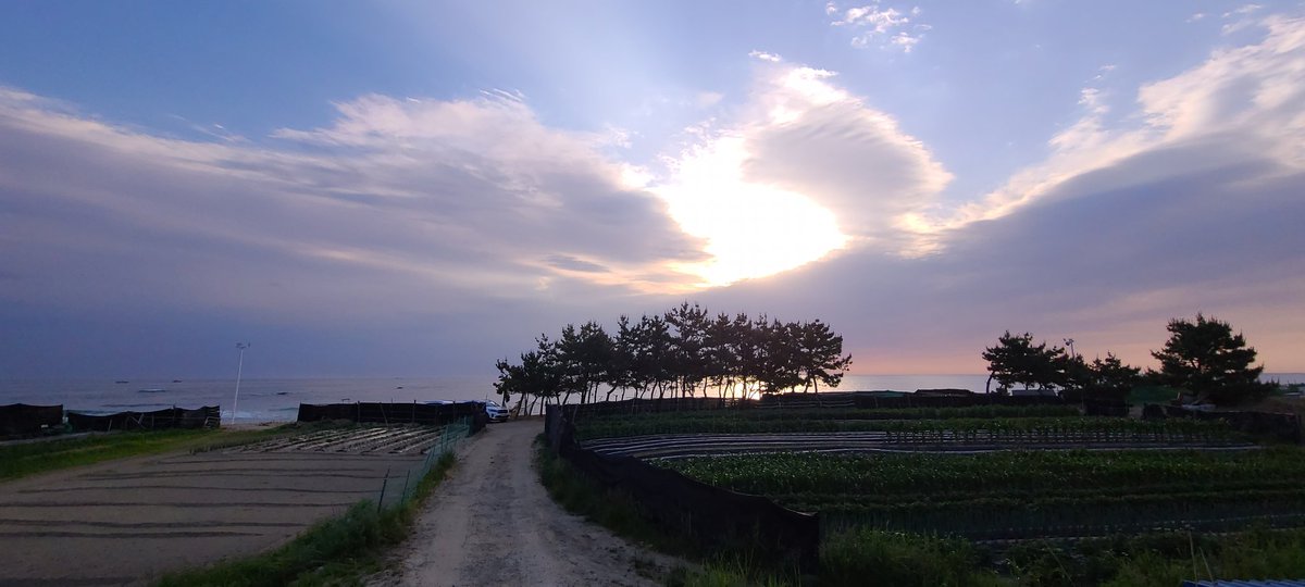 좋아하는 바닷가
강릉 순긋해변에서...
사흘간 서울-강원도 일정으로 갔지만
좋은 사람들과 소중한 만남 함께해서 
행복한 시간이었다.
"자세히 보아야 예쁘다
오래 보아야 사랑스럽다
너도 그렇다 - 나태주, 풀꽃"
