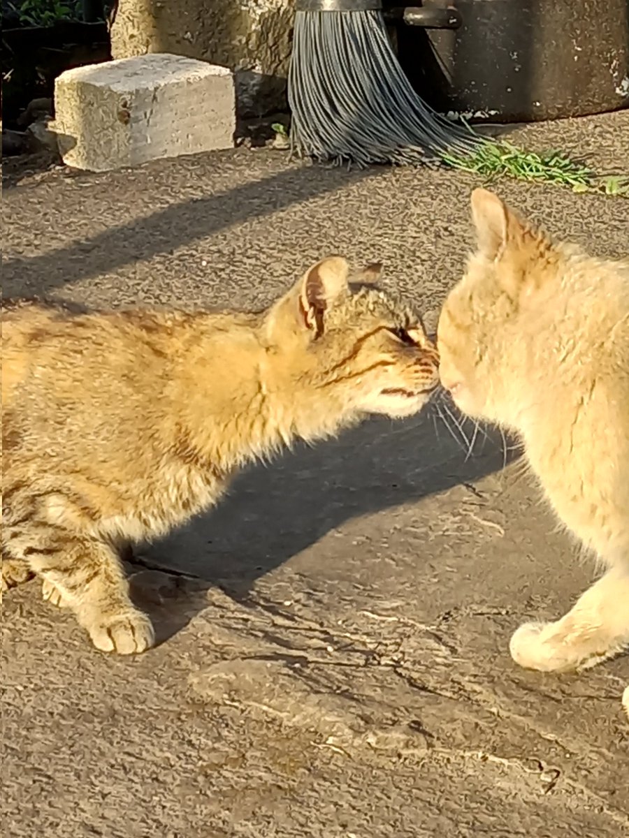 такие сладенькие 🥺