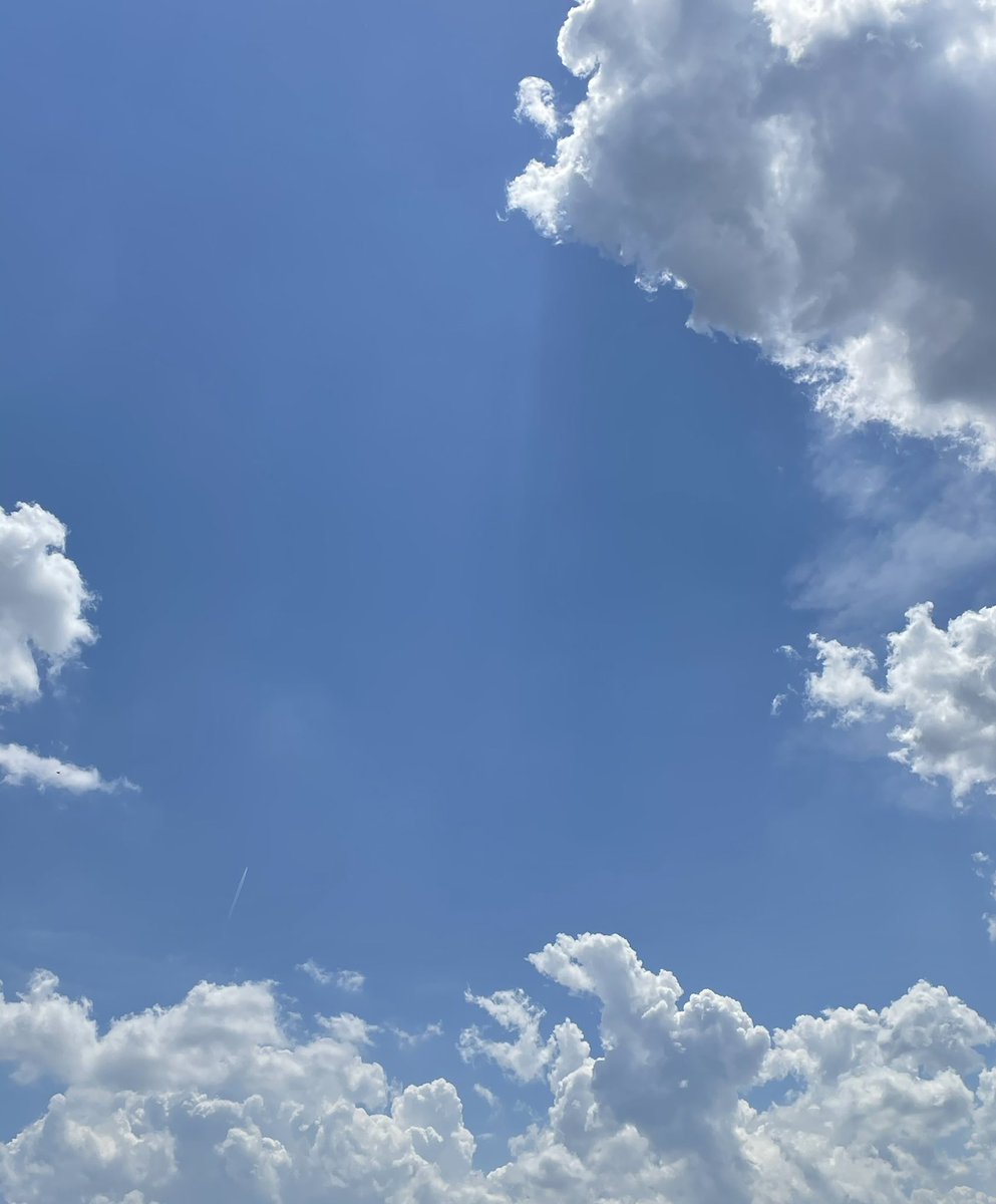 GM Life ☀️❤️🦋🌈☮️🌎✨☕️ ❤️Love yourself ❤️ #NFT #NFTCommunity #love