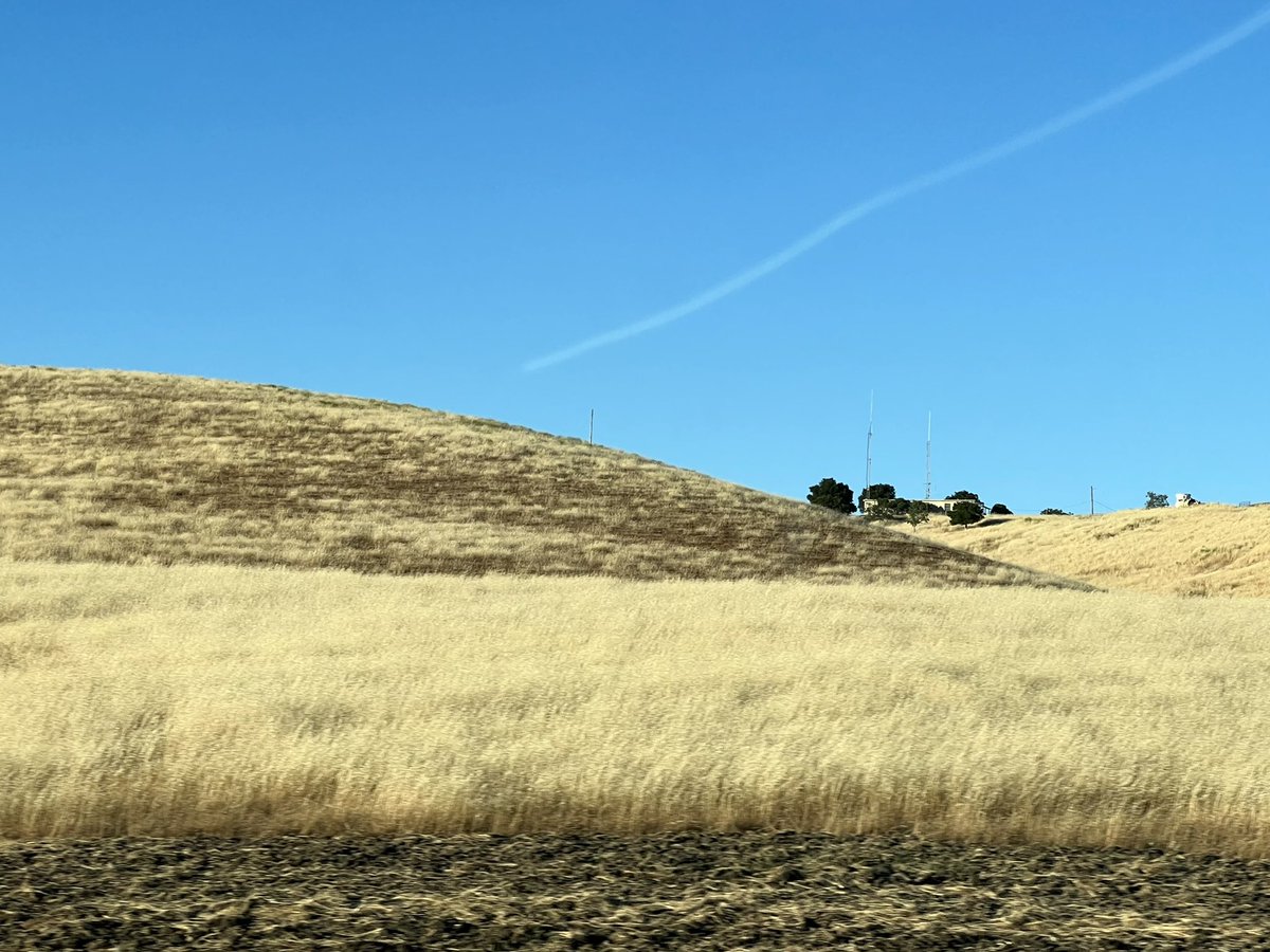 Ian Brown tweet media