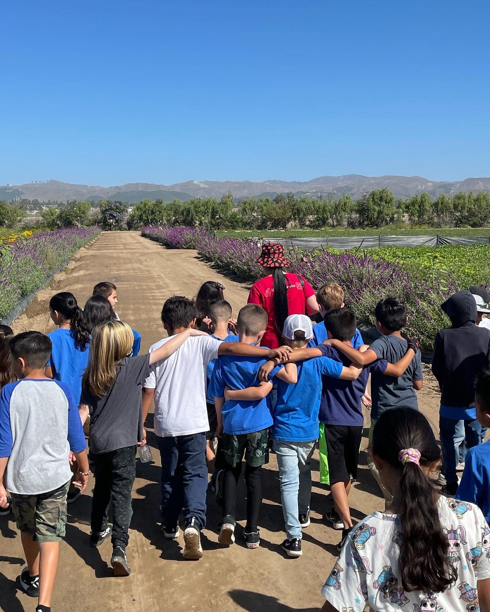 AddieMSteele's tweet photo. Love that we are getting to go on field trips #mesamoments. Thank you to everyone in the community that made this happen. https://t.co/nUog93F7gu