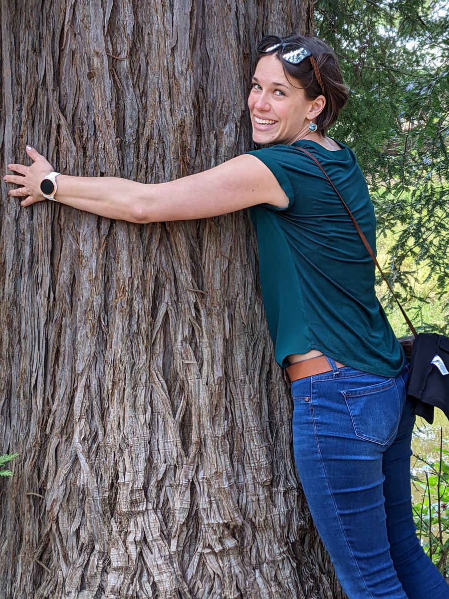 APS_Extension tweet media