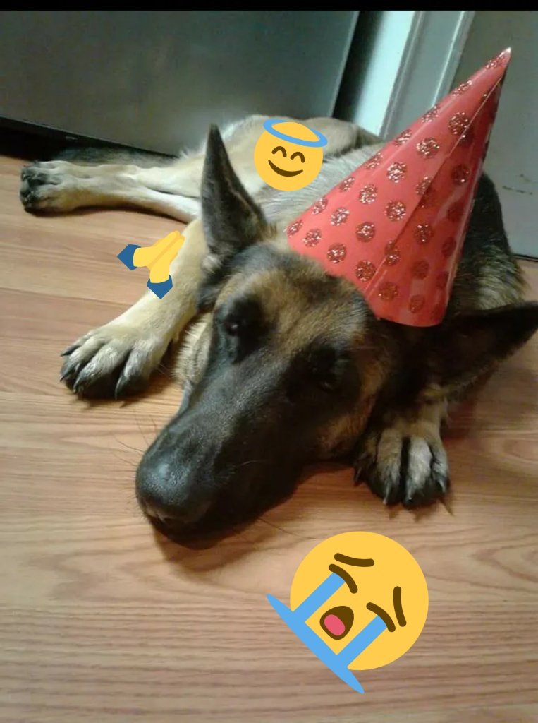 Thekill04674279's tweet photo. We miss you my beautiful baby sleep good https://t.co/NB9nWVIQVL