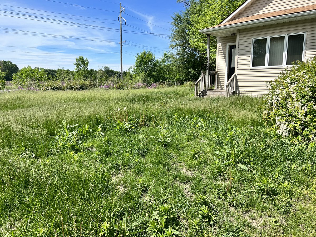 NLLC_FD's tweet photo. You can leave it up to NLLC to take on a jungle of a mess.😳😈 (Before and after) https://t.co/sl0JvWd6zg