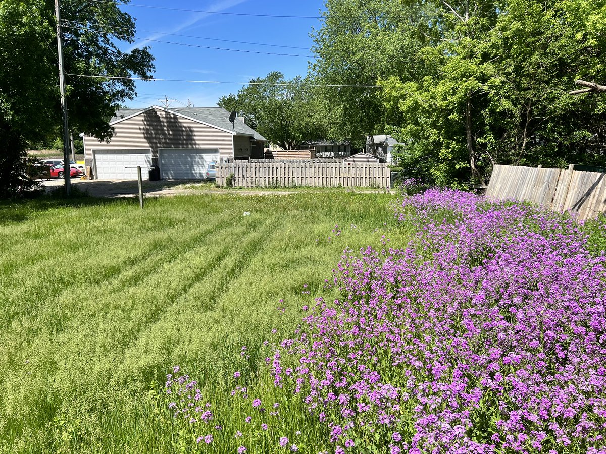 NLLC_FD's tweet photo. You can leave it up to NLLC to take on a jungle of a mess.😳😈 (Before and after) https://t.co/sl0JvWd6zg
