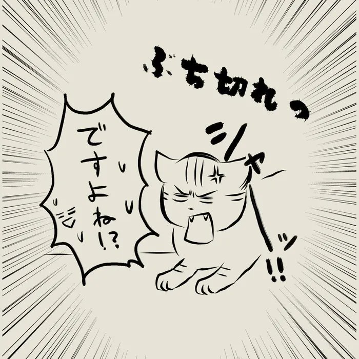 猫の足元から奇妙な音が!くっついた足裏のシール、そっと取るべきか、素早くとるべきか!? 【連載】交通事故にあった猫を拾いました#67|ねこのきもちWEB MAGAZINE https://t.co/6FwPBXuEKp