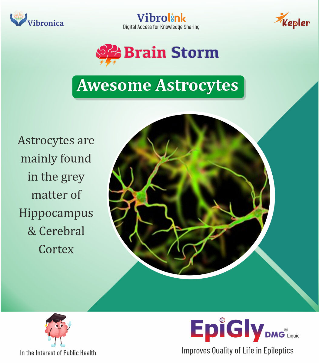 Vibronica2022's tweet photo. #Brain_Storm - Awesome Astrocytes Day 3 https://t.co/DYZiOhHAh1