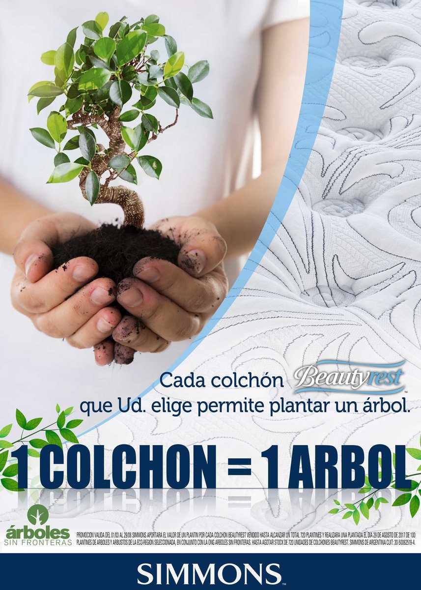 arbolessinfront's tweet photo. Queres ver los resultados al 2022 de la campaña realizada en 2017 plantando con Simmons de Argentina? 🌳🌳 https://t.co/p4tVYpjMD1