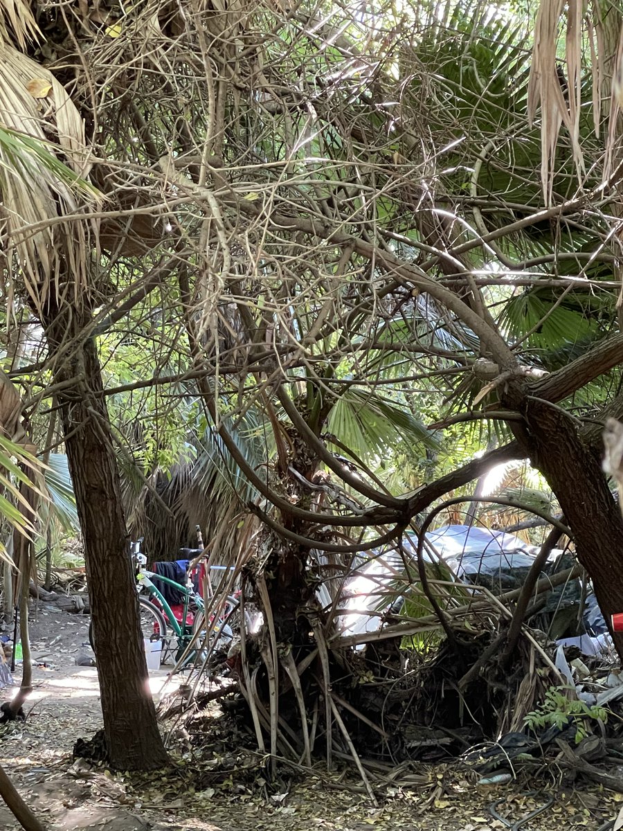 Cal_ICH's tweet photo. With a $1.8 million #EncampmentResolutionFund grant, @CityofVista & @RecoveryExodus have assembled an outreach team that includes a social worker, housing navigator, @SDSheriff & CalTrans to use a person-centered approach to house people living in the Buena Vista Creek watershed. https://t.co/5S9n0zgEBd