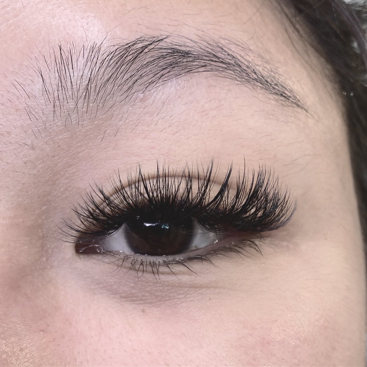 mgstyleszz's tweet photo. 🦋VOLUME SET🦋

freestyle mapping ☺️😆

#lashes #lash #lashing #classic #classiclashes #volume #volumelashes #naturallashes #lashextensions #hybrid #hybridlashes #extensions #lashtech #mgstyleszzlash #mgstyleszz  #beauty #licensed #cosmetology #greenlake #seattle #lashtech https://t.co/WJaSvaXGAY