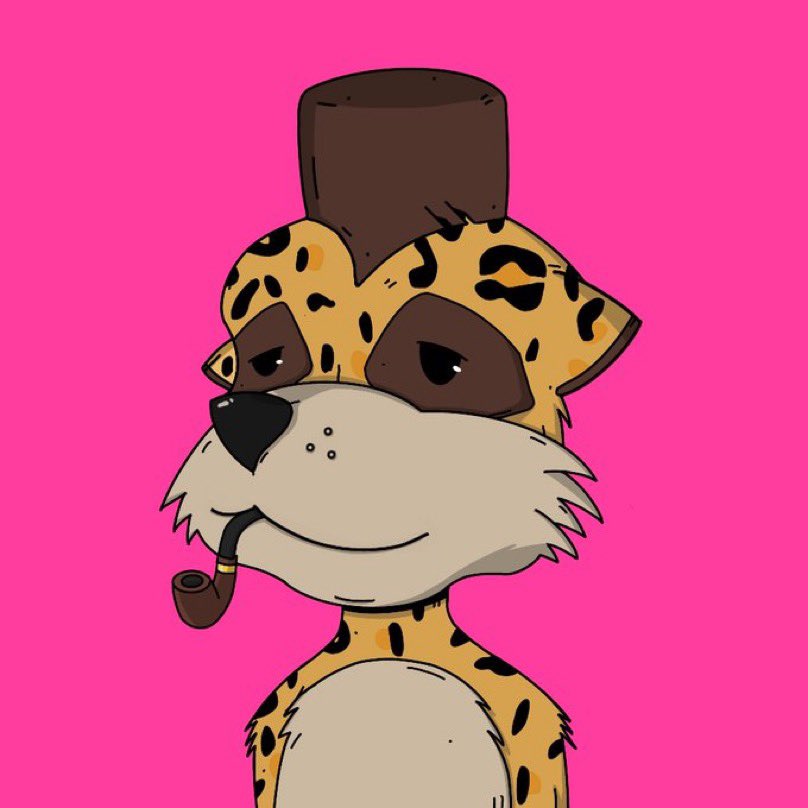 NFT_Sandy's tweet photo. Naked Meerkat appreciation post. Just a couple recent pickups. Great entry, art, and huge upside potential. Sounds like a good combo to me🤝 @mmcclubdao @mmccsolana https://t.co/Foad1gOWEC