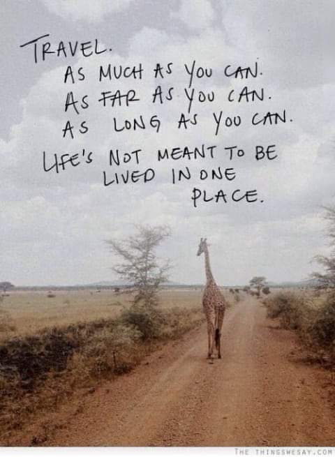 ilast4eva's tweet photo. Tell me your Desired Destination and let me book your dream Vacation. #TravelAgent #Travel #DesiredDestination #Baecation #GirlTrips #FamilyTrips #GetAways #TravelBusiness https://t.co/g9Fl2stBKn
