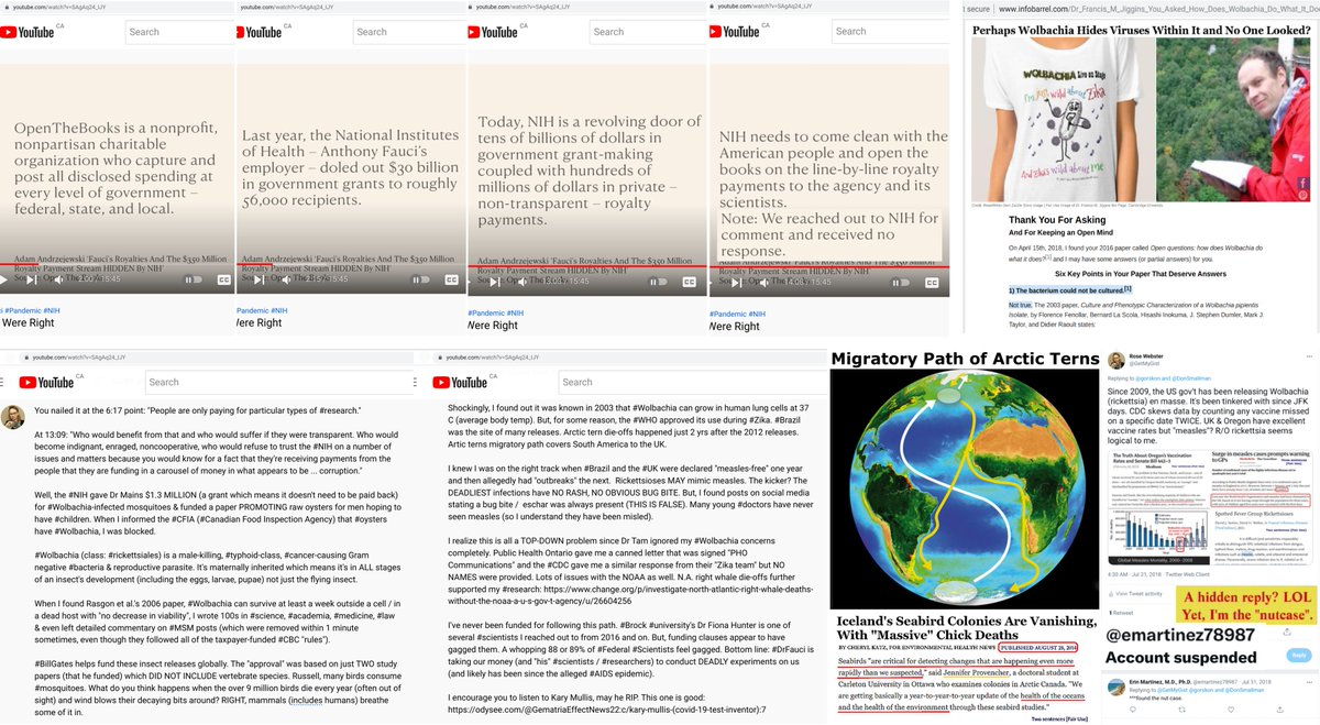 maggini_19's tweet photo. Rose ♀️ here, @GetMyGist on Gab too. 

#Fake #Consensus vs. REAL-world proof. Use the #RightToTryAct to YOUR advantage: Gram -ve 🦠 = 75% of what kills; ✅Dr Conover's Rx.

My #YouTube: https://t.co/sjJP4A3WjL

My @zazzle store: https://t.co/ymZSJo3n47

https://t.co/W7aH7llVHz https://t.co/UR6go32LI1