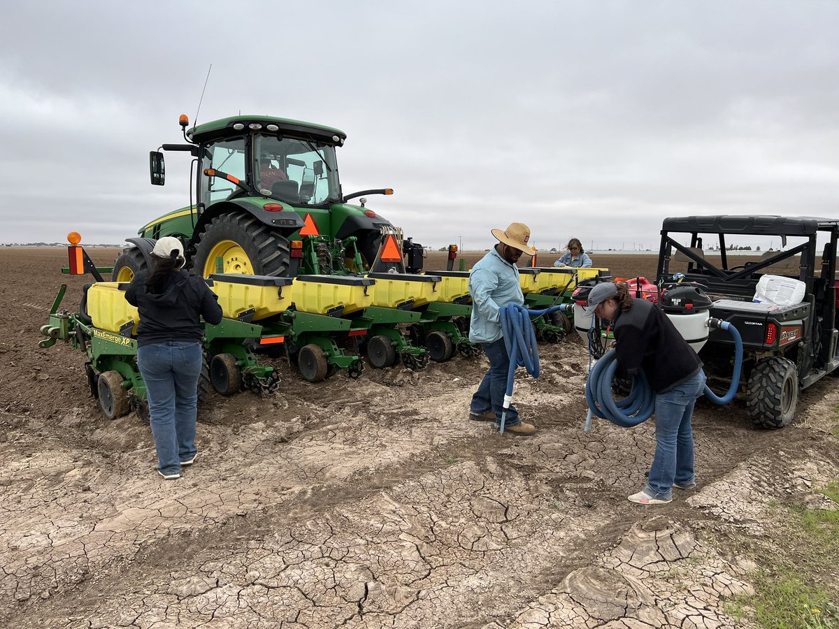 Lubbock County Irrigated trial is in. #plant22 #cotton