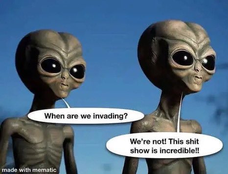 CATWEASEL tweet media