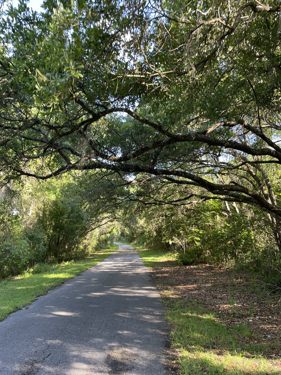 BranchBeth's tweet photo. Felt like I was #running as slow as this snail in the #Florida heat.  #globalrunningday #IShowUp #beatyesterday #garmin https://t.co/y2R60FU0tZ