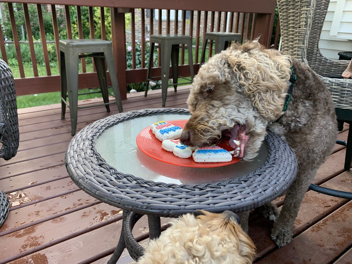 oxley4's tweet photo. Happy Birthday to my favorite former @DogsOfTurf! Wally turns 4 today! Had a dog party with his BFF Murphy. @fatdogjog @AOx1010 #bigshoots #littleshoots https://t.co/ZhSbLm0qIy