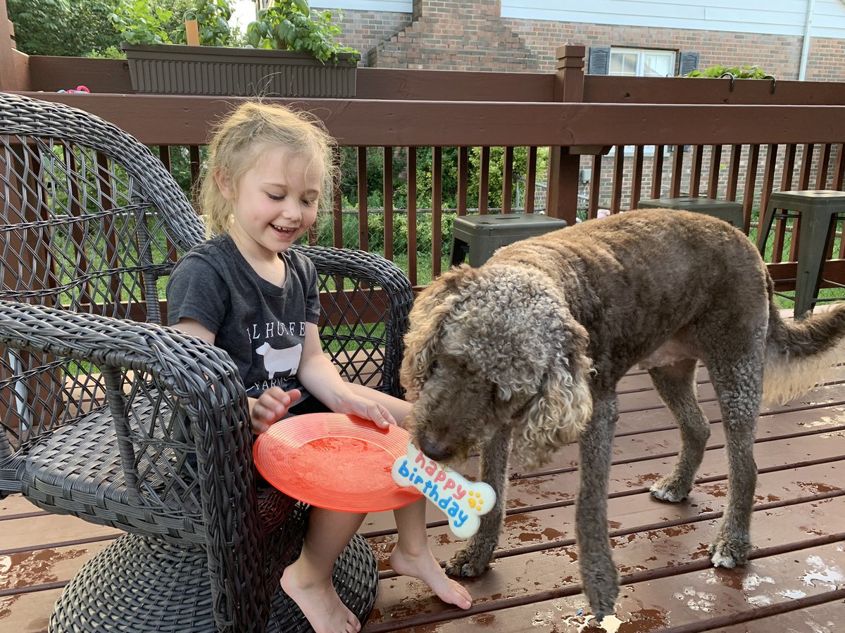 oxley4's tweet photo. Happy Birthday to my favorite former @DogsOfTurf! Wally turns 4 today! Had a dog party with his BFF Murphy. @fatdogjog @AOx1010 #bigshoots #littleshoots https://t.co/ZhSbLm0qIy