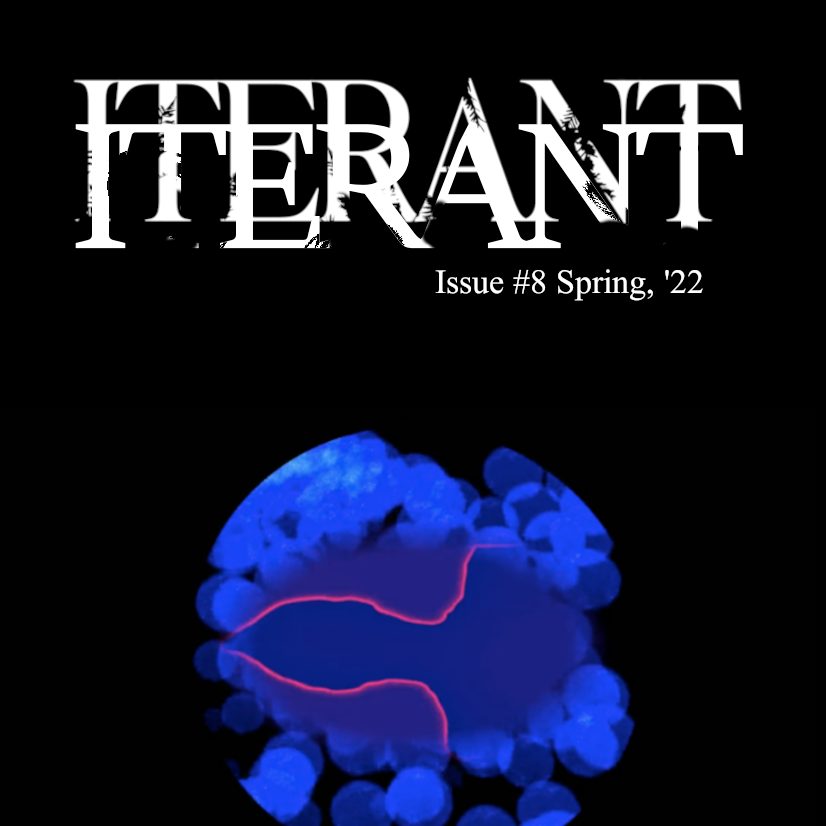 Issue #8 has released! Read it at iterant.org