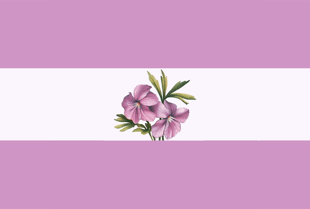 intersexlesbian's tweet photo. my take on the wlw/sapphic and mlm flags !!

for wlw/sapphics and mlm ^_^

#flagtwt #pridemonth #pride2022 https://t.co/baAKeuCRaK
