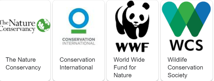 CaitlinWR39C's tweet photo. #WhatIlearnedin39C There are many great organizations to donate to in order to actively help conservation efforts https://t.co/a6hhBMxzKJ