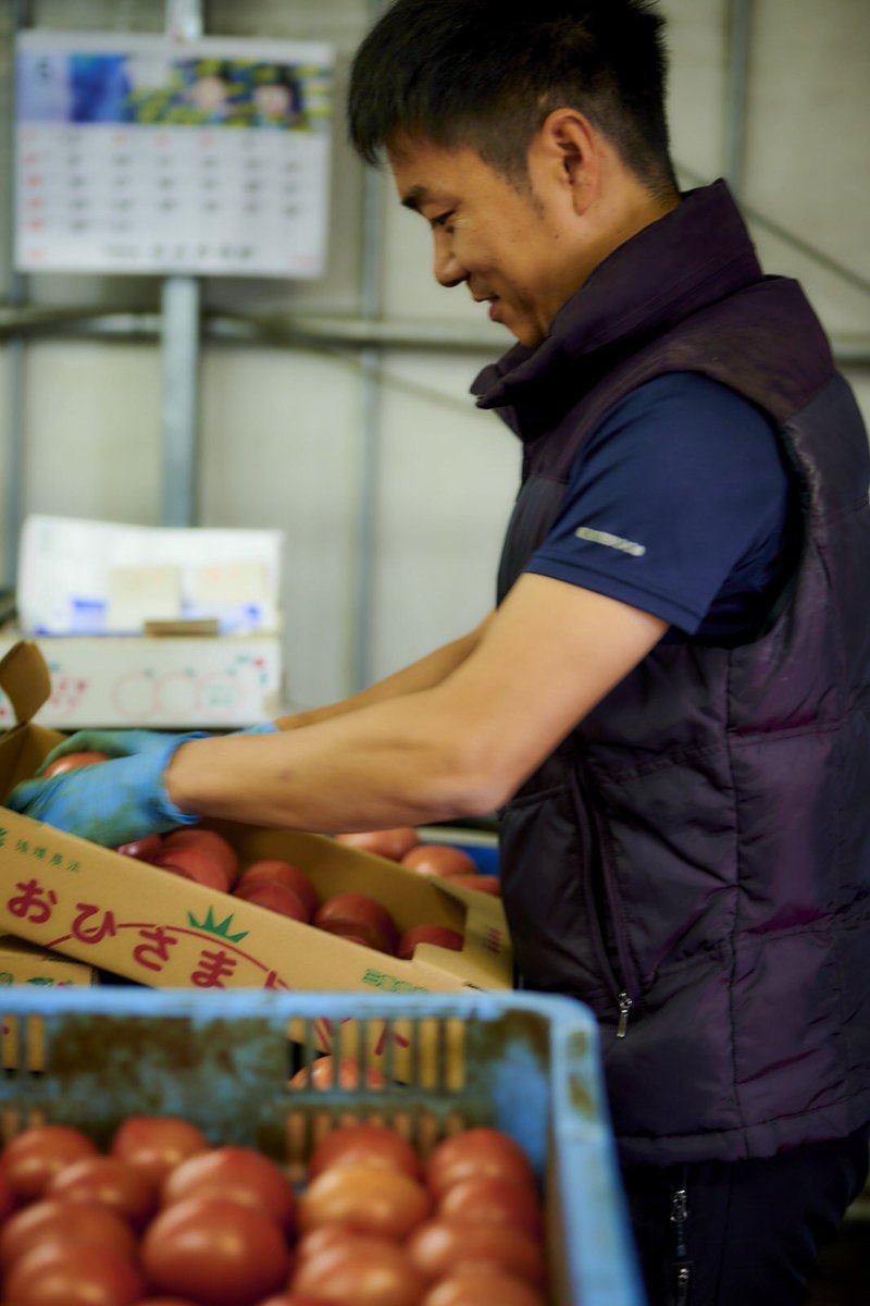 トマトの出荷が最盛期を迎えています✨
今期も残すところ....後1か月程
沢山の笑顔に変わりますように🍅

＃おひさまトマト　#有機野菜　#循環農法　#百笑　#離乳食　#笑顔が届け