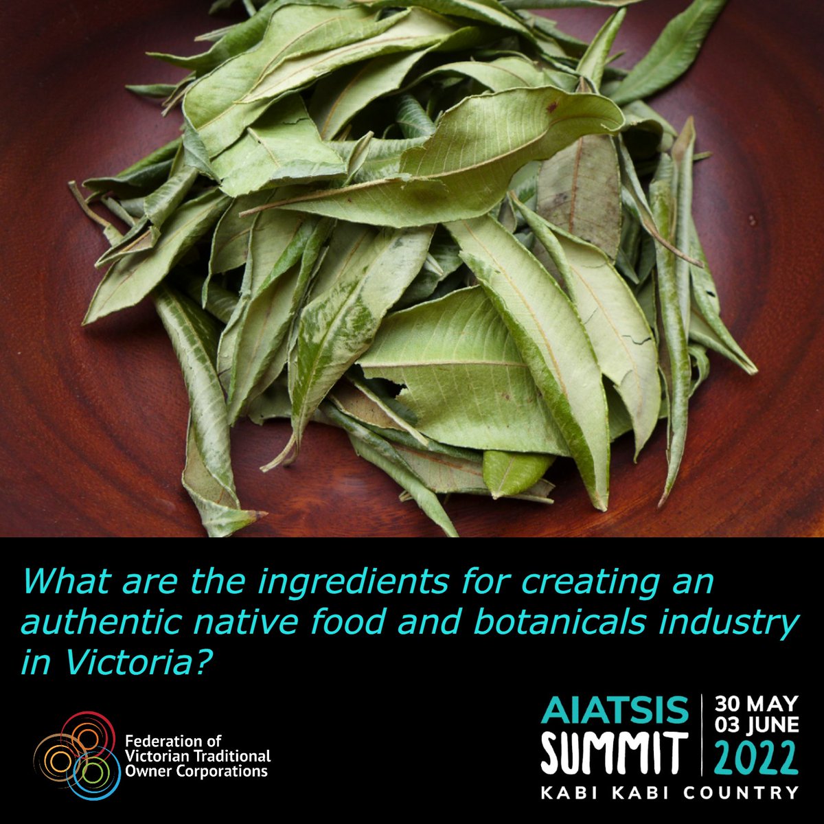Join Paul Paton and Sam Nolan at noon today to discuss native title rights and economic use and how we create an authentic native food and botanicals industry in Victoria.   

aiatsis.gov.au/whats-new/even…  #aiatsisSUMMIT